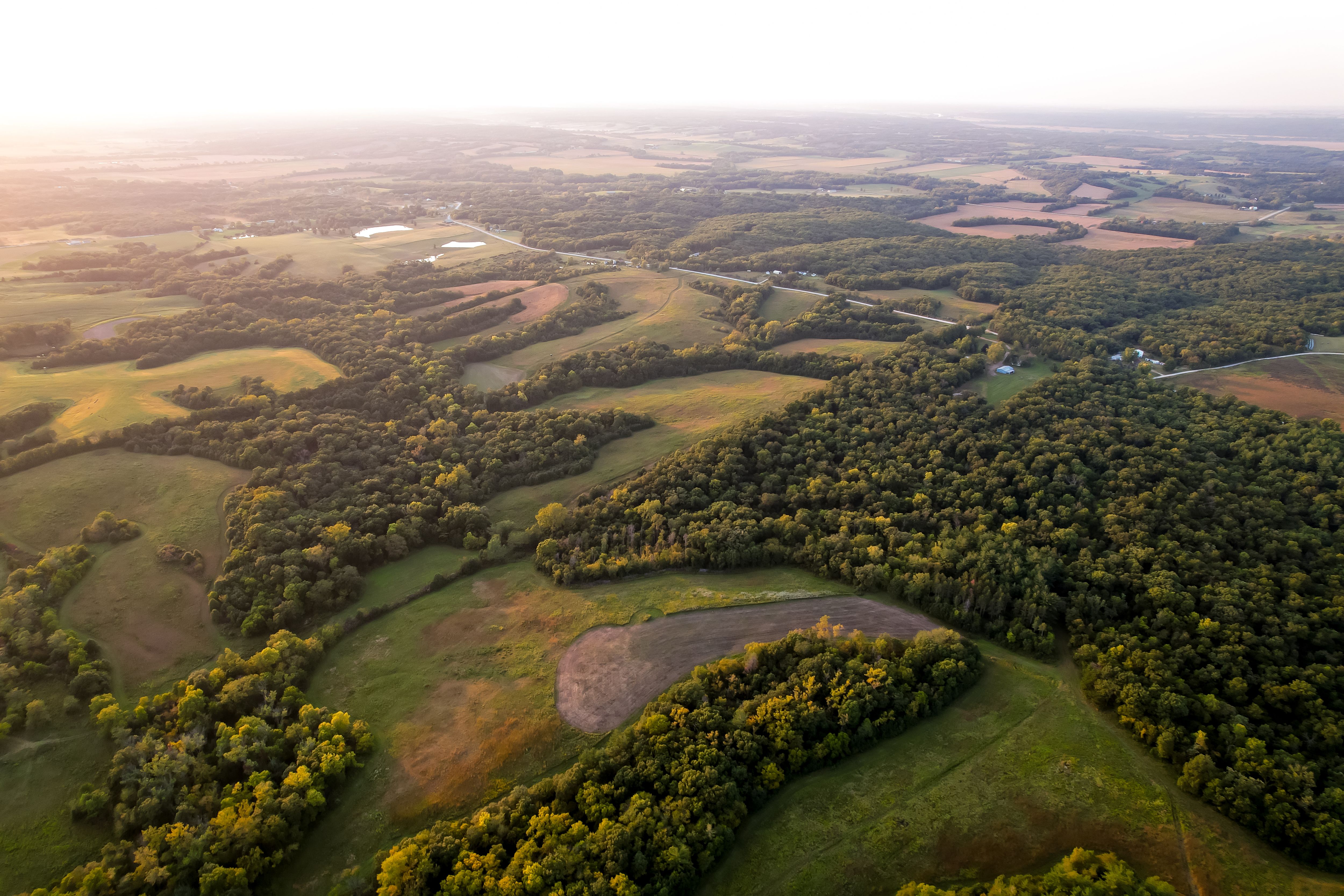 Listing Photo: Photo Sep 10 2025, 6 53 01 PM